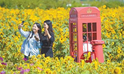 国庆假期各地发挥优势特色 县域旅游释放发展新动能